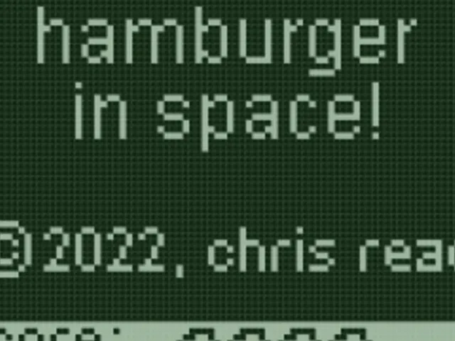 Hamburger in Space!