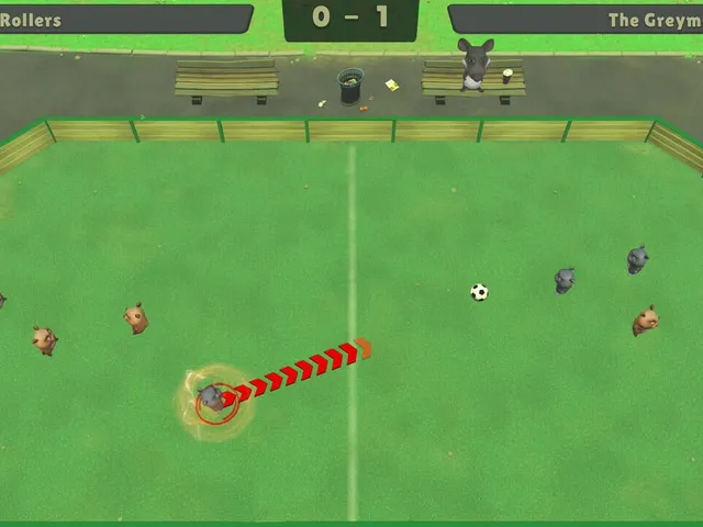 HamsterBall Soccer