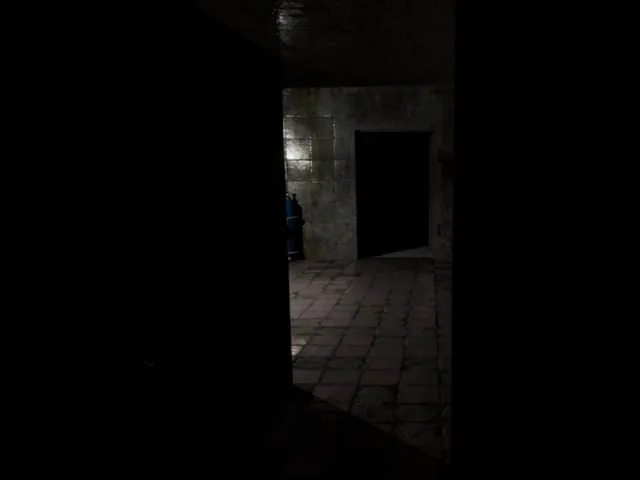 Hanefield Asylum