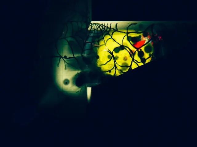 Heartless Dark