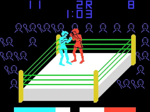 Heavy Boxing