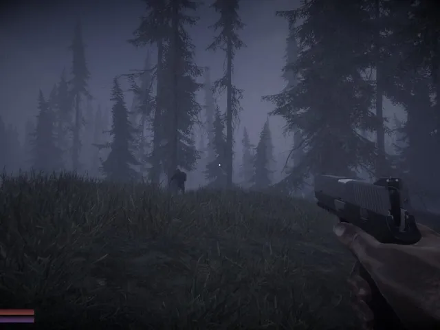 Horror in the Forest