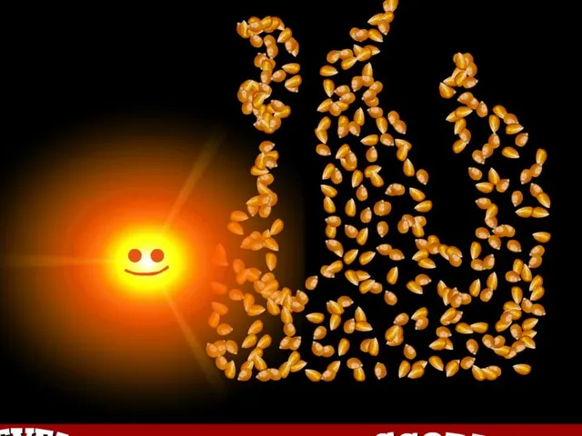 Hotcorn