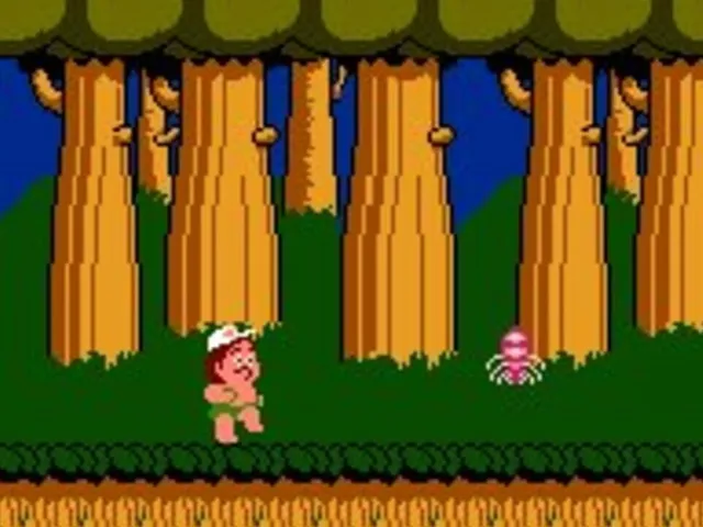 Hudson's Adventure Island