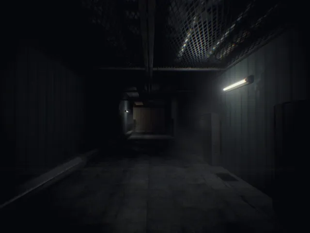 Human