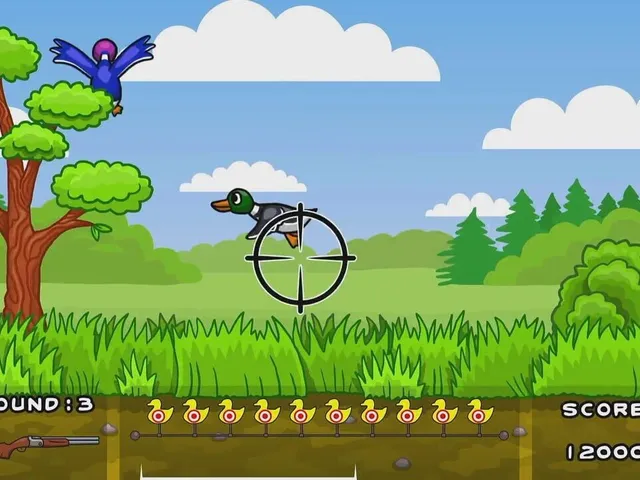 Hunt Ducks
