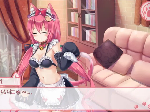 I got a cat maid