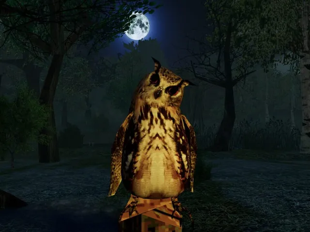 I Hear the Forest