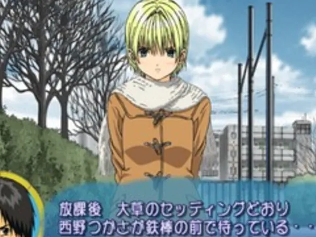 Ichigo 100%: Strawberry Diary