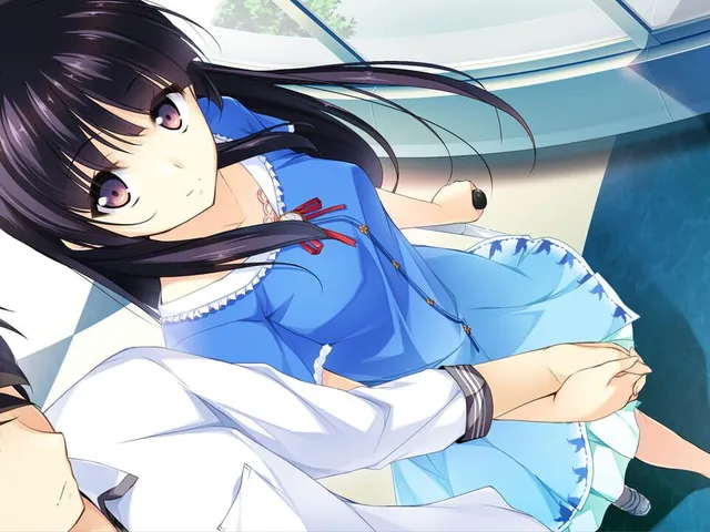 If My Heart Had Wings: Flight Diary