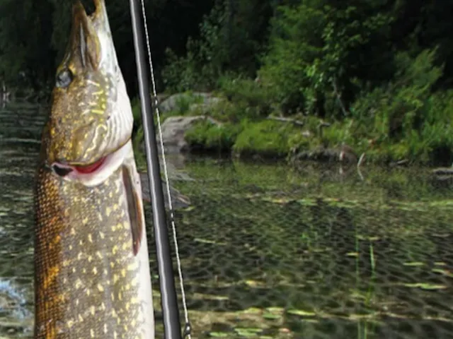 iFishing