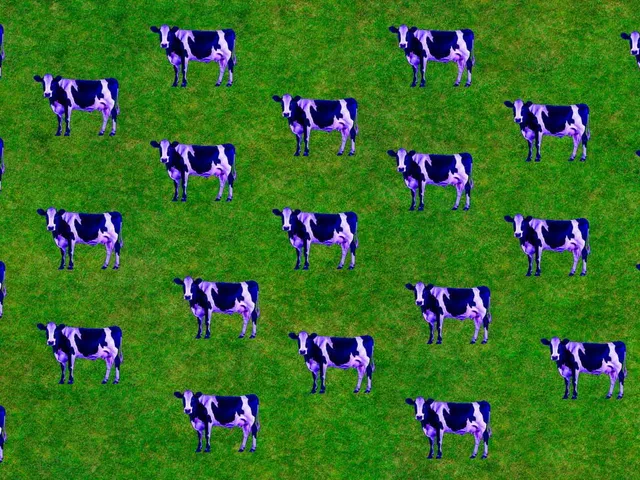Imagina que tienes 2 vacas