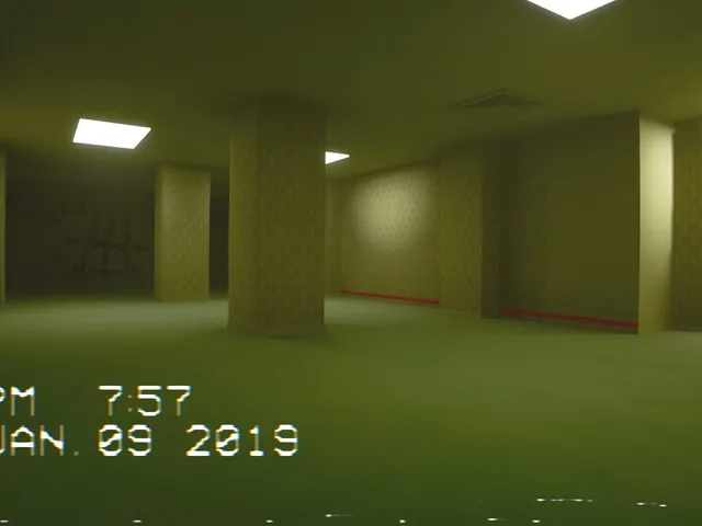 In the Backrooms
