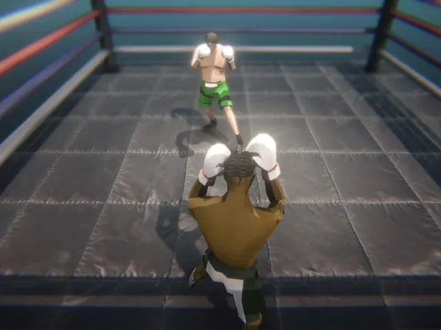 Influencer Boxing