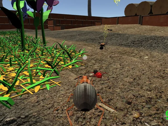 Insect: Bombardier beetle