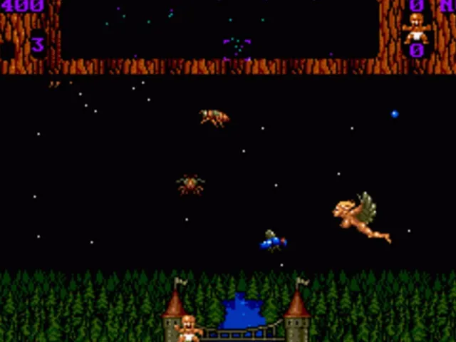 Insects in Space