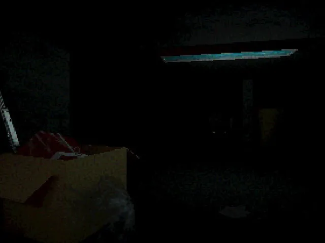Inside Intruder