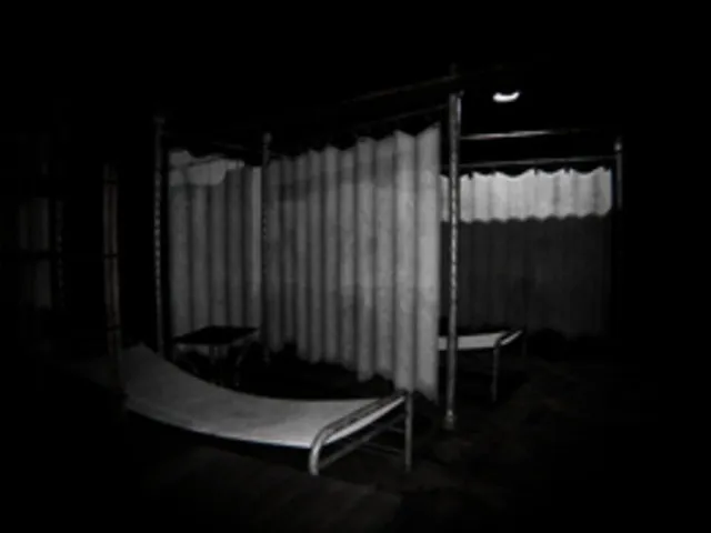 Insomnis Experiment