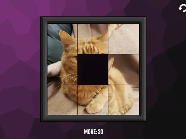 Intelligence: Cats