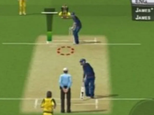 International Cricket Captain