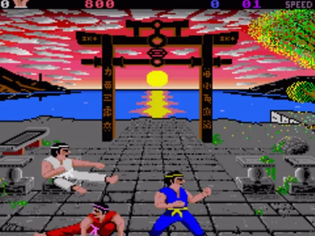 International Karate +