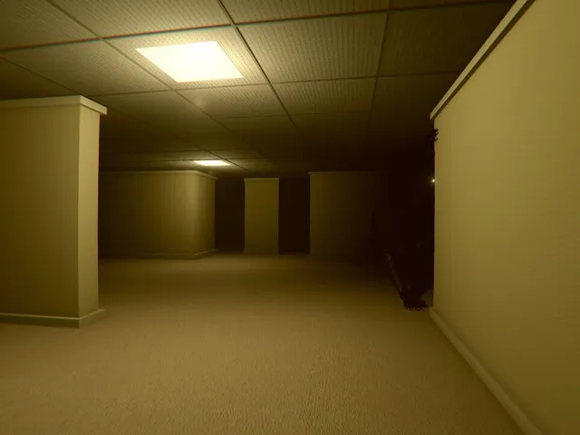 Into the Backrooms