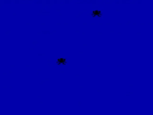 Invaders