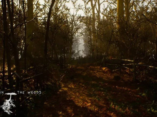 It Lives in the Woods