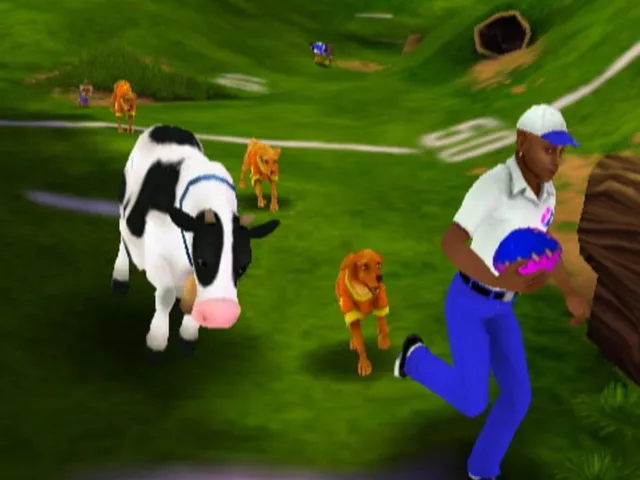 Jerry Rice & Nitus' Dog Football