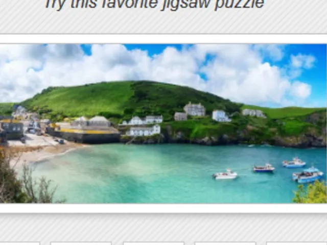 Jigsaw Explorer