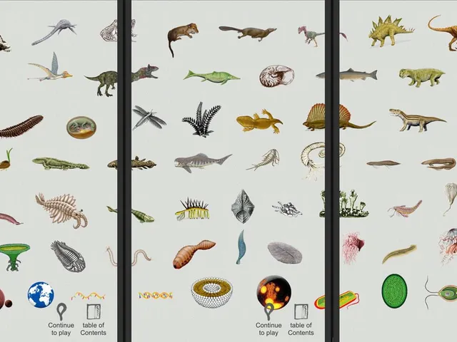 Jigsaw puzzle: Evolution