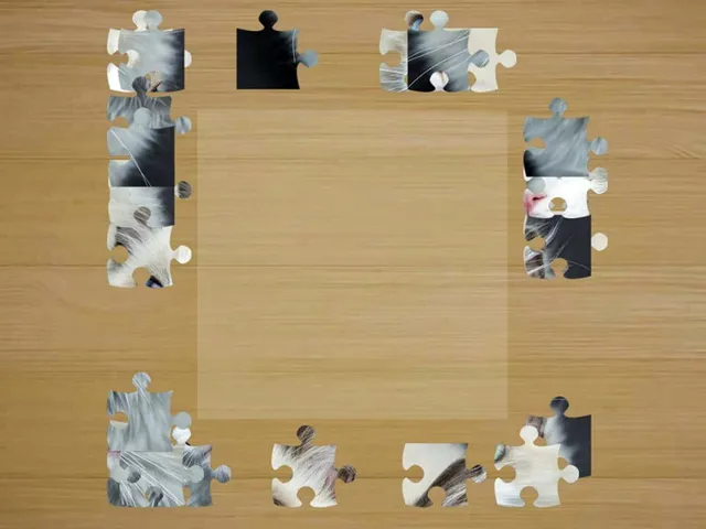 Jigsaw Puzzles