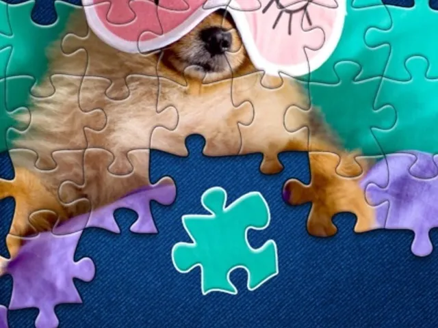 Jigsaw Puzzles: Photo Puzzles