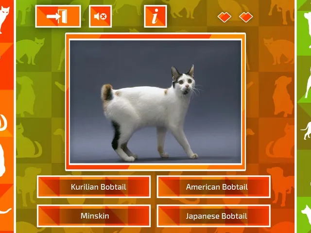 JQ: dogs & cats