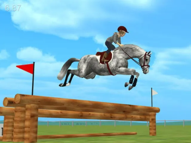 Jumpy Horse Show Jumping
