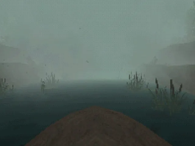 Just a Boat Trip