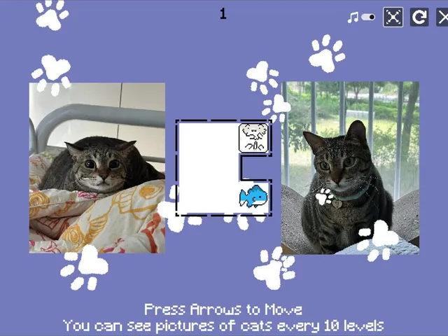 JustWatchMyCat