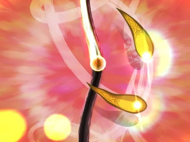 Kanso