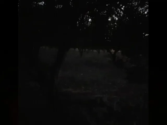 KaraDedeler 1989