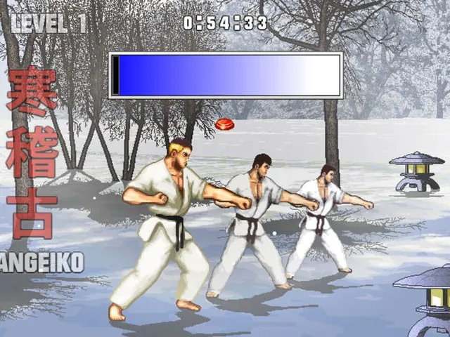 Karate Master Knock Down Blow