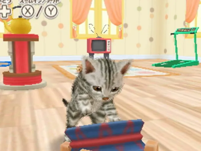 Kawaii Pet to Kurasou! Wan Nyan & Idol Animal