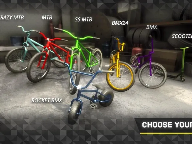 King of Dirt: BMX