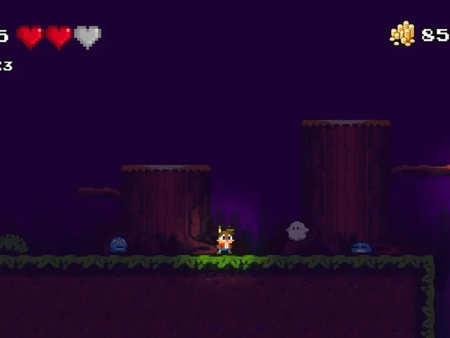 Kitty Adventure