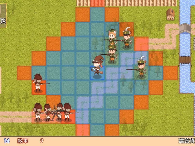 Kitty Cat Combat