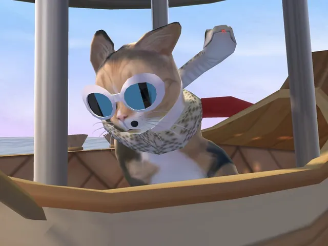 Kitty Cat Resort