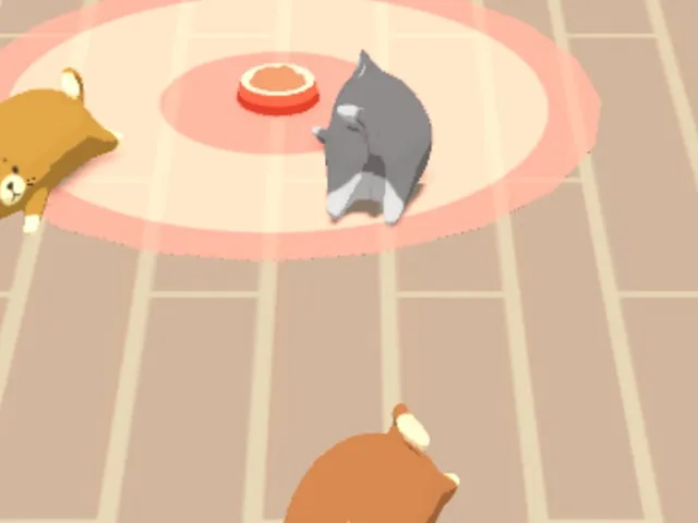Kitty Curling