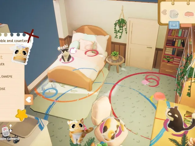 Kitty Haven