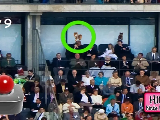Kitty in the Crowd