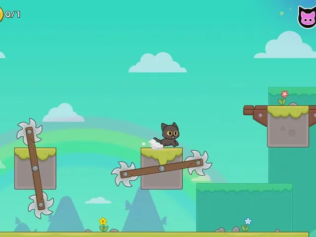 Kitty Loves Birds