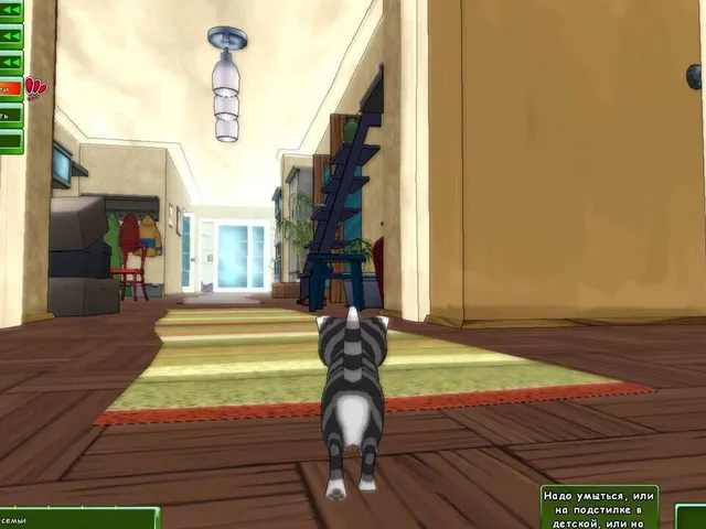 Kitty Play